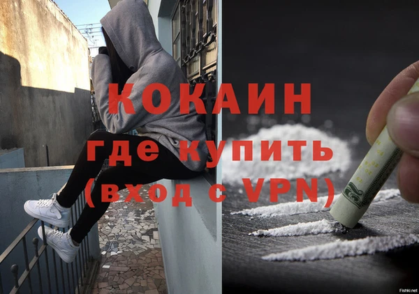 спиды Горняк