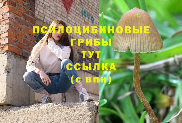 меф VHQ Горнозаводск