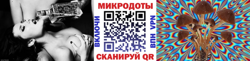 Галлюциногенные грибы Psilocybe  купить   Вольск 